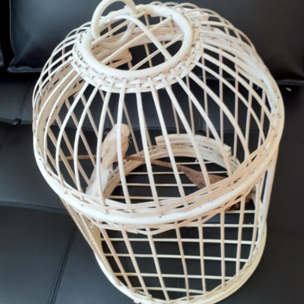 18" Vintage Painted White Wicker Bird Cage & Bird